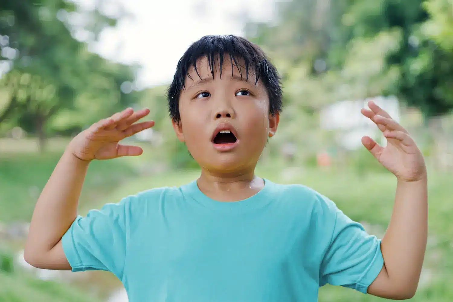 simpatectomia torácica